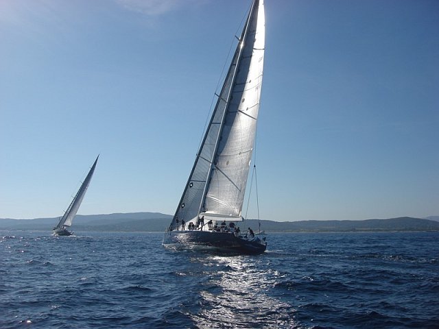 wallys - 8.jpg